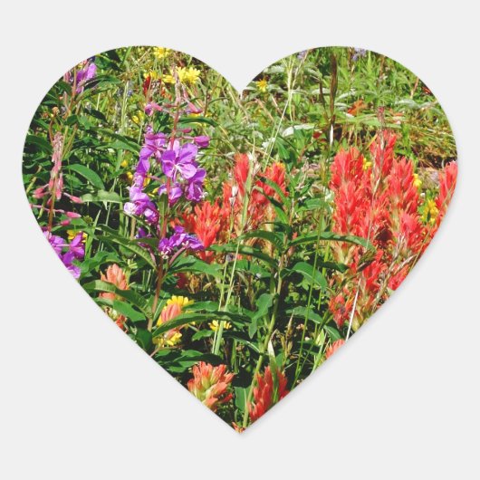 Rocky Mountain Wildbloemen Hart Sticker (Voorkant)