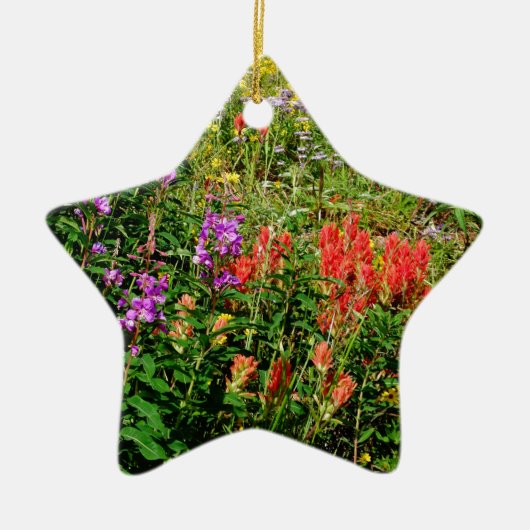 Rocky Mountain Wildbloemen Keramisch Ornament (Voorkant)