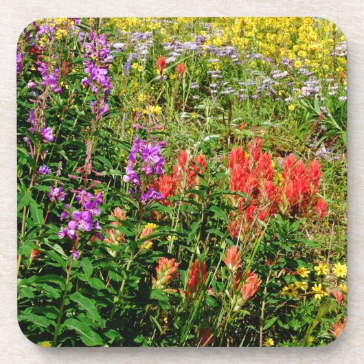 Rocky Mountain Wildbloemen Onderzetter (Voorkant)
