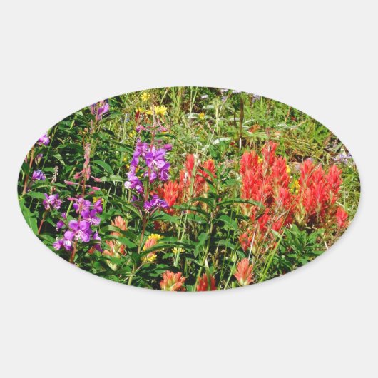 Rocky Mountain Wildbloemen Ovale Sticker (Voorkant)