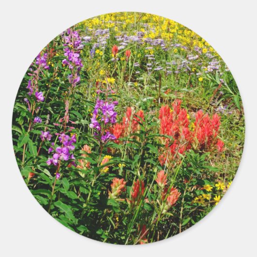 Rocky Mountain Wildbloemen Ronde Sticker (Voorkant)