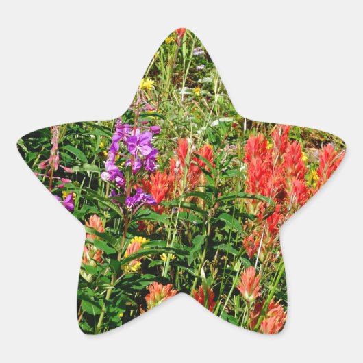 Rocky Mountain Wildbloemen Ster Sticker (Voorkant)