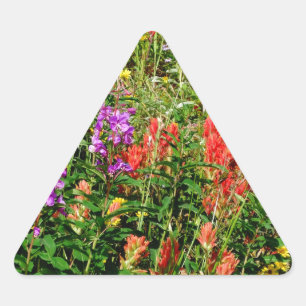 Rocky Mountain Wildbloemen Sticker