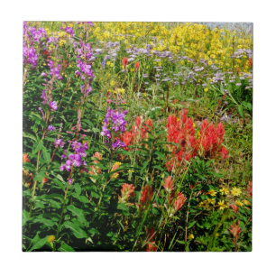 Rocky Mountain Wildbloemen Tegeltje
