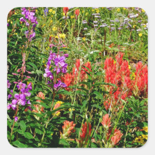 Rocky Mountain Wildbloemen Vierkante Sticker