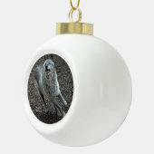 Rocky Mountain Wolf Keramische Bal Ornament (Rechts)
