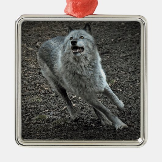 Rocky Mountain Wolf Metalen Ornament (Voorkant)