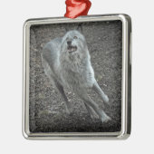 Rocky Mountain Wolf Metalen Ornament (Links)
