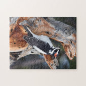 Rocky Mountain Woodpecker - RMNP - 11x14 - 252 pc Legpuzzel (Horizontaal)