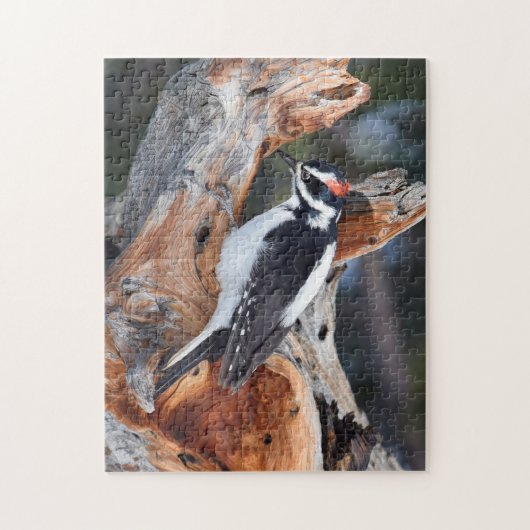 Rocky Mountain Woodpecker - RMNP - 11x14 - 252 pc Legpuzzel (Verticaal)