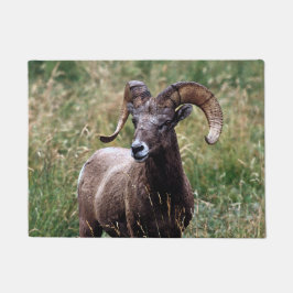 Rocky Mountains Bighorn Sheep Deurmat