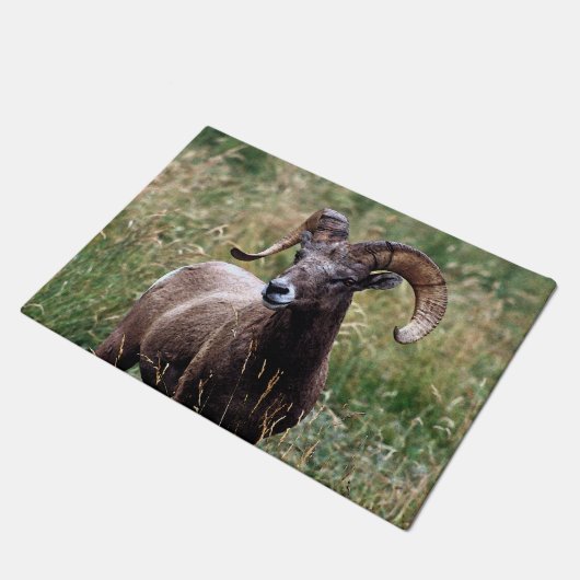 Rocky Mountains Bighorn Sheep Deurmat (Schuin)
