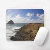 Rocky Oregon Pacific Coast in Pacific City Muismat (Met muis)