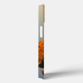 Rocky Outcrop and Desert Valley, Richtersveld Case-Mate iPhone Case (Achterkant / Rechts)