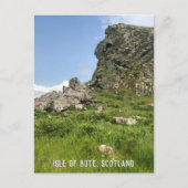 Rocky Outcrop, eiland Bute, Schotland Briefkaart (Voorkant)