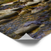 Rocky Path Poster (Hoek)