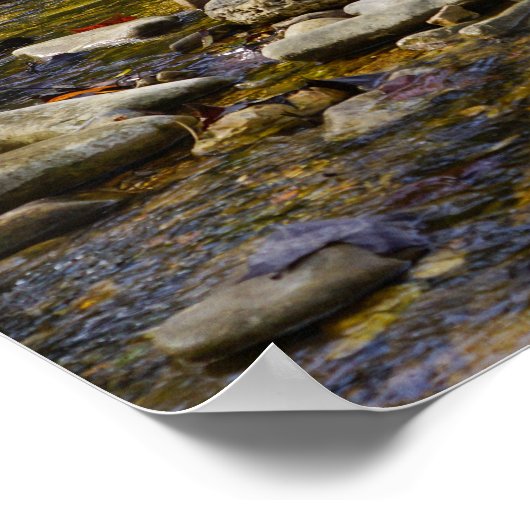 Rocky Path Poster (Hoek)