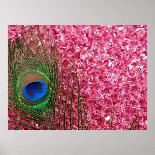 Rocky Pink Peacock Feather Poster (Voorkant)