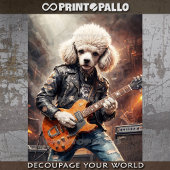 Rocky Poodle speelt gitaar bij concert - Tissuepapier