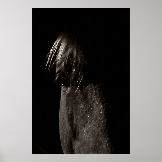 Rocky Poster (Voorkant)