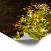 Rocky River, Cleveland, Ohio Poster (Hoek)