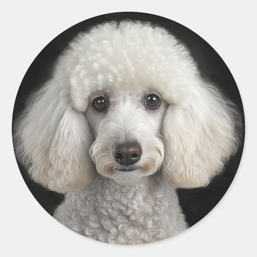 Rocky Ronde Sticker (Voorkant)