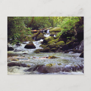 Rocky Rushing Stream - Great Smoky Mountains Briefkaart