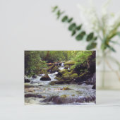 Rocky Rushing Stream - Great Smoky Mountains Briefkaart (Staand voorkant)