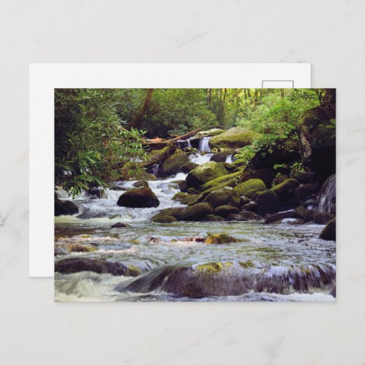 Rocky Rushing Stream - Great Smoky Mountains Briefkaart (Voorkant / Achterkant)