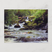 Rocky Rushing Stream - Great Smoky Mountains Briefkaart (Voorkant)