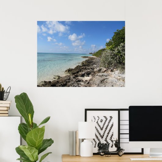 Rocky Shore - Coco Cay Poster (Thuiskantoor)