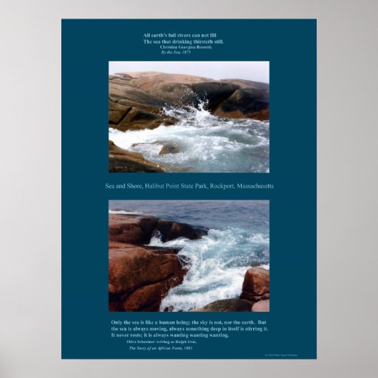 Rocky Shore Poster (Voorkant)