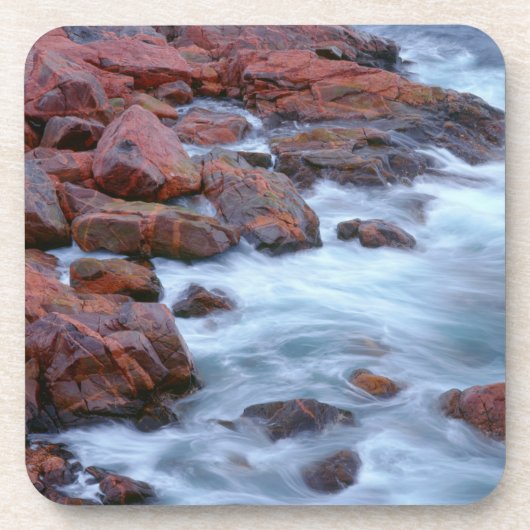 Rocky shoreline met water, Canada Drankjes Onderzetter (Voorkant)