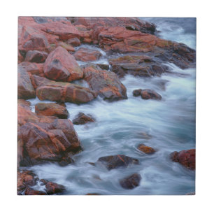 Rocky shoreline met water, Canada Tegeltje