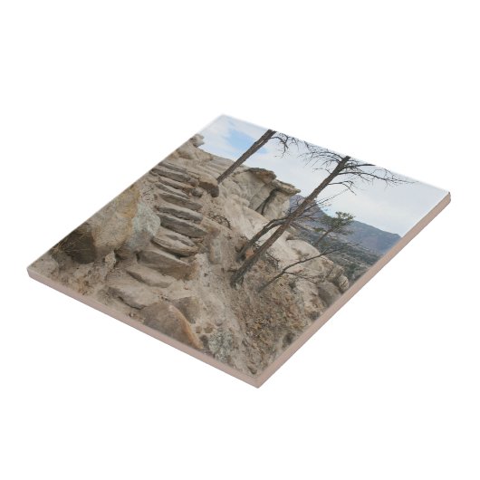 Rocky Steps Tegeltje (Zijkant)