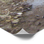 Rocky Stream Poster (Hoek)