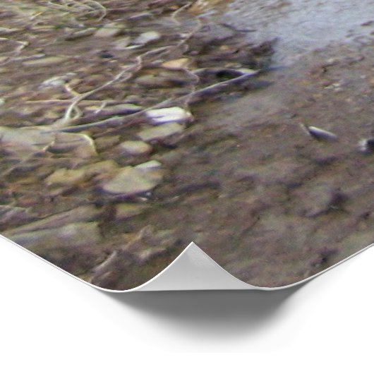 Rocky Stream Poster (Hoek)