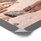 Rocky Summer Seascape Acadia National Park Maine Poster (Hoek)