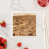 Rocky Surface of Planet Mars Servet (Insitu)