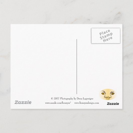 Rocky Terrain Briefkaart (Achterkant)