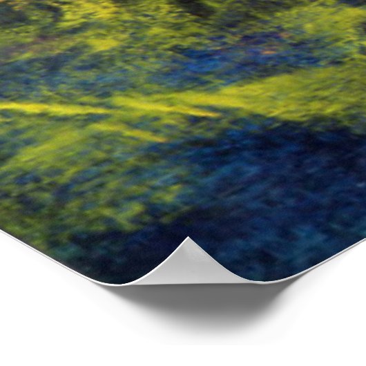 Rococo Delight 1995 Poster (Hoek)