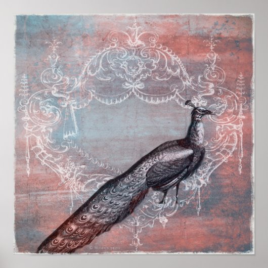 Rococo French Blue & Pink Peacock Print (Voorkant)