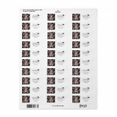 Rococo Roze Afstudeerfoto Afstudeeradres Etiket (Full Sheet)