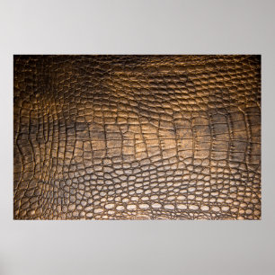 ?Rocodilleder. Achtergrond bruin leder en de bruin Poster