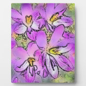 ROCUSSEN FOTOPLAAT (Voorkant)