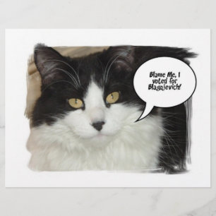 Rod Blagojevich Flyer