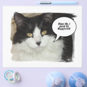 Rod Blagojevich Flyer (Enkel)