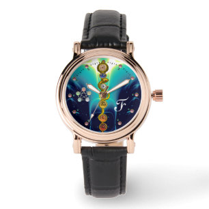 ROD VAN ASCLEPIUS 7 CHAKRAS, YOGA, SPIRITUELE ENER HORLOGE