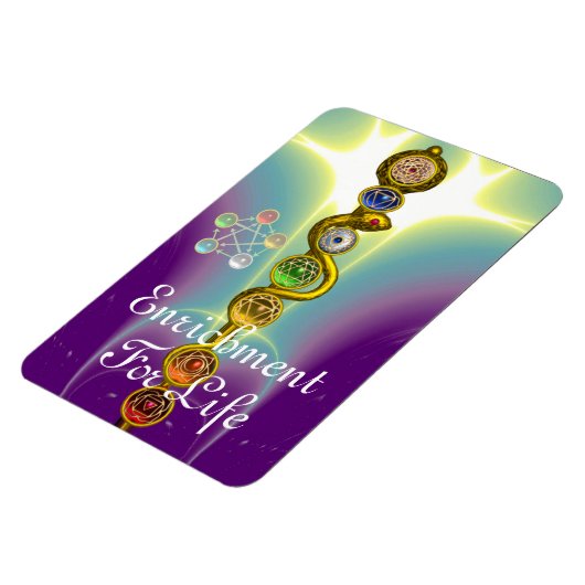 ROD VAN ASCLEPIUS 7 CHAKRAS, YOGA, SPIRITUELE ENER MAGNEET (Linkerzijde)