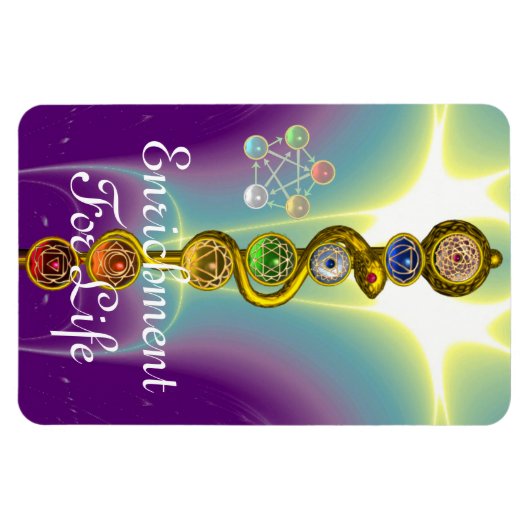 ROD VAN ASCLEPIUS 7 CHAKRAS, YOGA, SPIRITUELE ENER MAGNEET (Horizontaal)